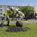 CFAY plants trees to celebrate Arbor Day