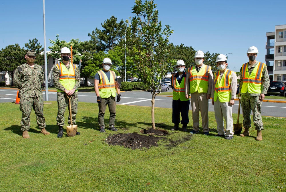 CFAY plants trees to celebrate Arbor Day