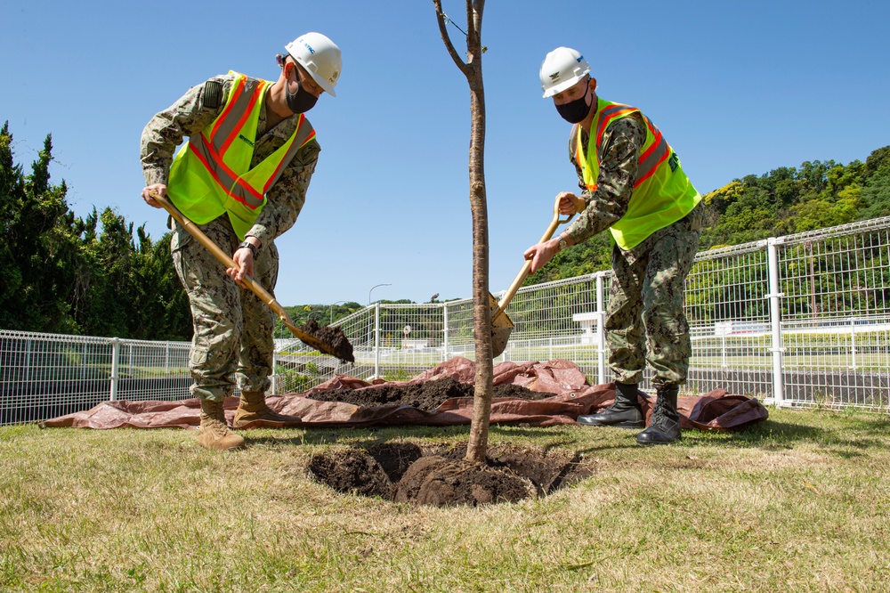 CFAY plants trees to celebrate Arbor Day