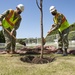 CFAY plants trees to celebrate Arbor Day