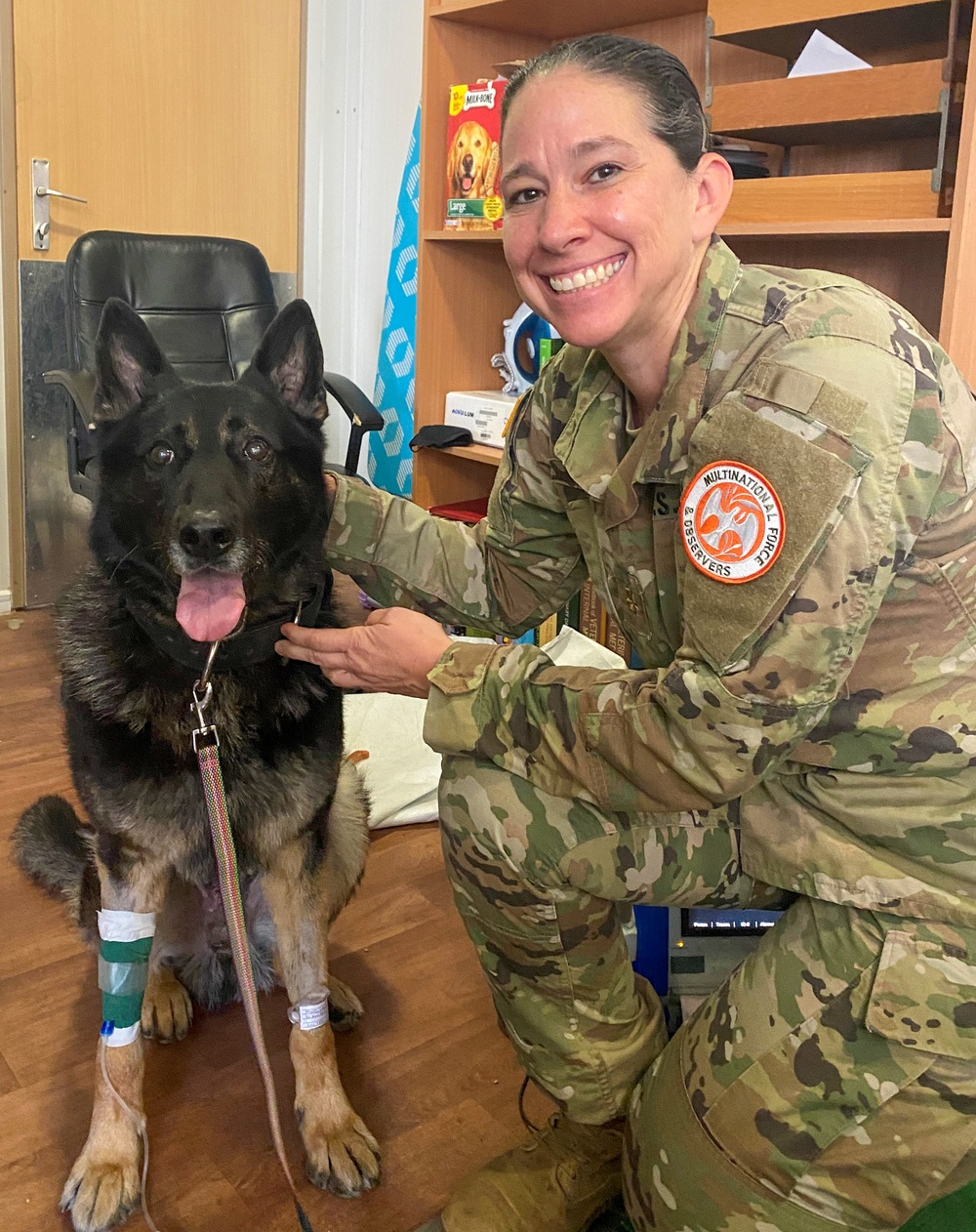Military Working Dog Receives Emergency Care in the Sinai