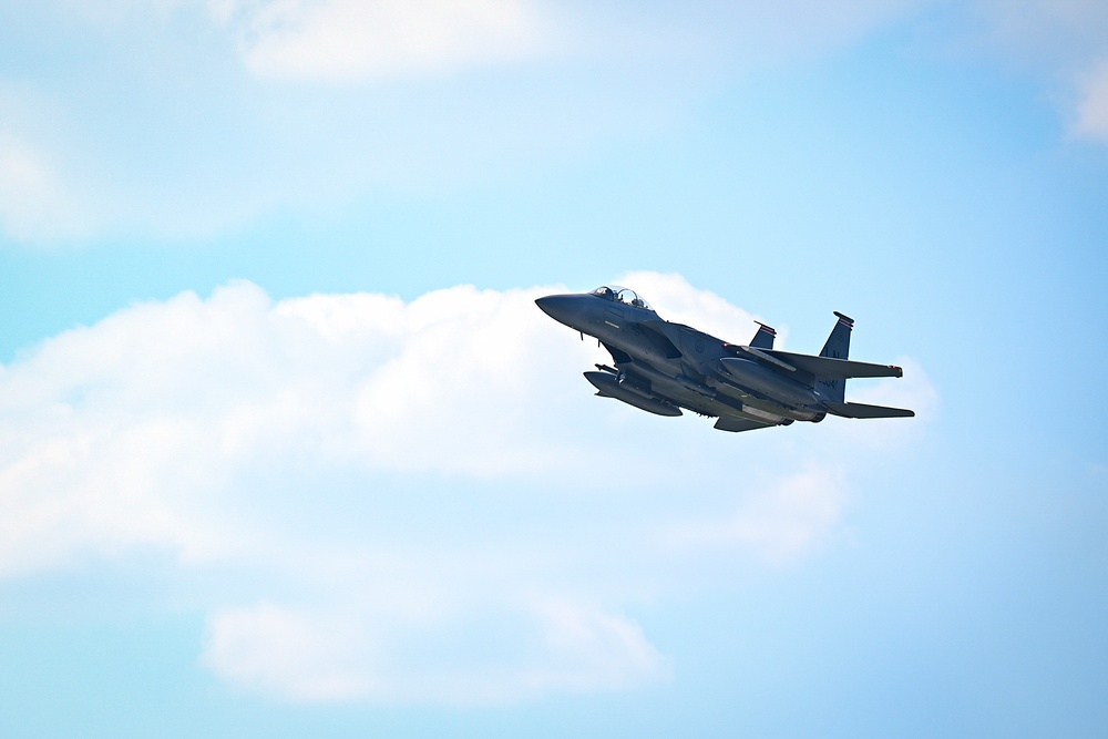 Liberty Wing flies with Polish Air Force over Poland