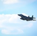 Liberty Wing flies with Polish Air Force over Poland