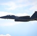 Liberty Wing flies with Polish Air Force over Poland