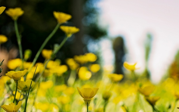 Springtime Here At Marine Corps Base Quantico