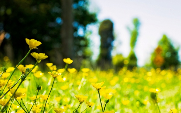 Springtime Here At Marine Corps Base Quantico