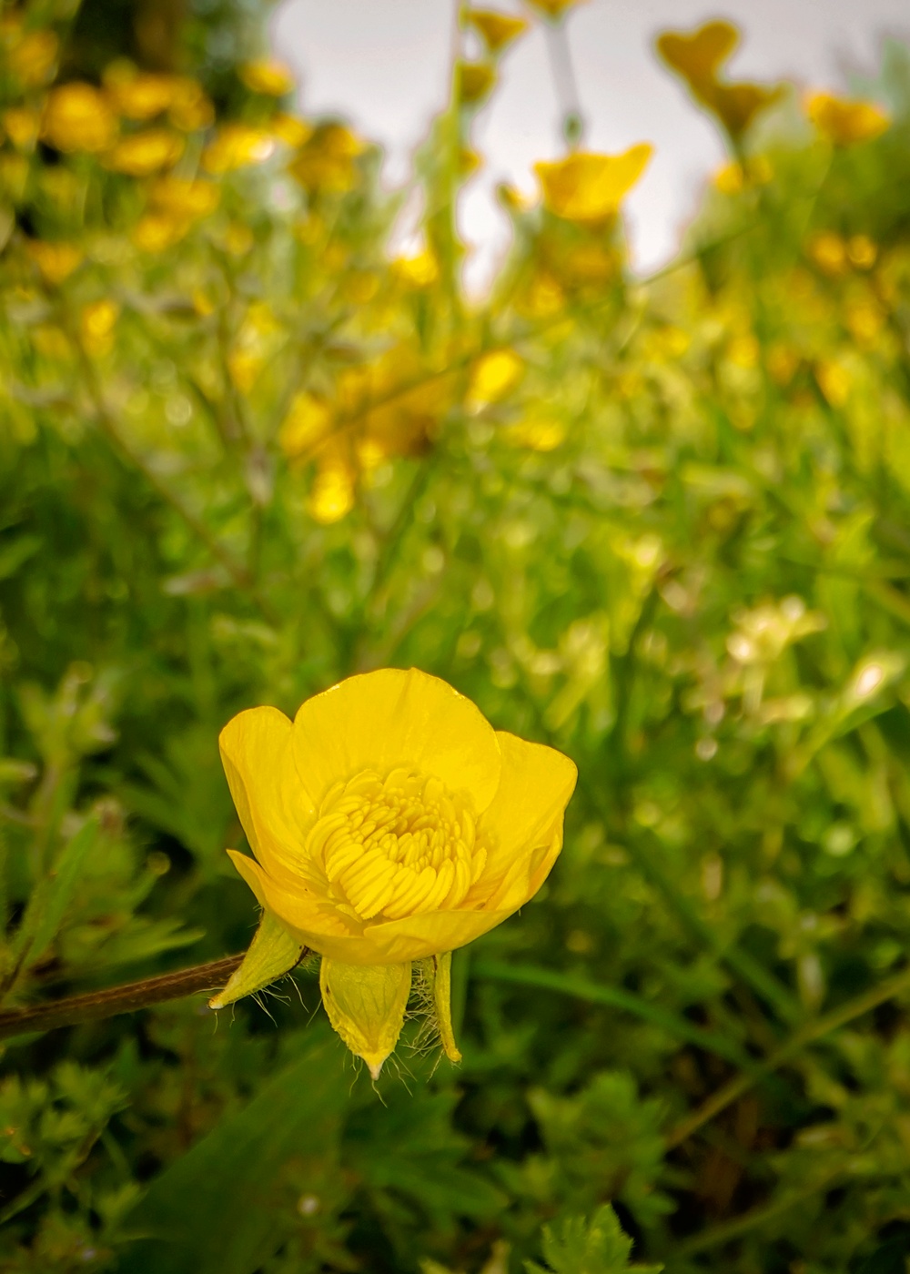 Springtime Here At Marine Corps Base Quantico