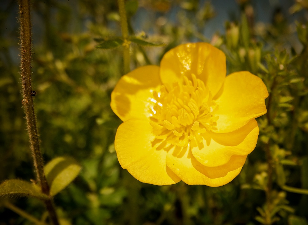 Springtime Here At Marine Corps Base Quantico