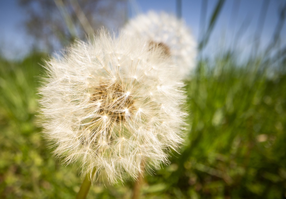 Springtime Here At Marine Corps Base Quantico
