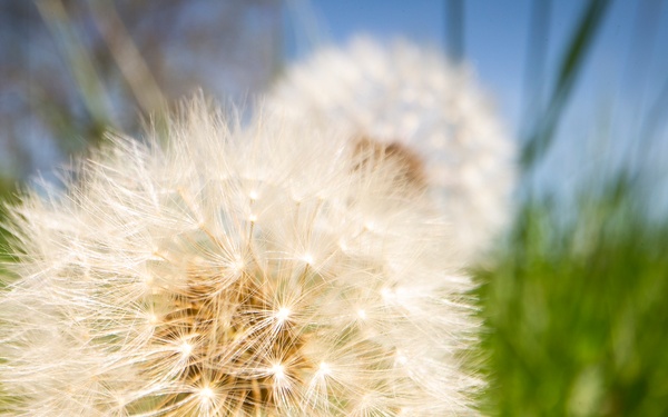 Springtime Here At Marine Corps Base Quantico