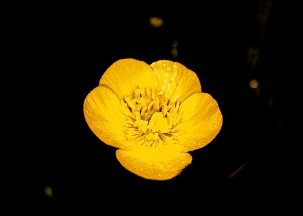 Springtime Here At Marine Corps Base Quantico