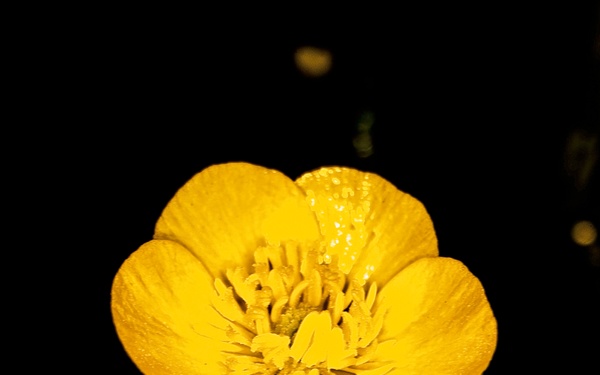 Springtime Here At Marine Corps Base Quantico