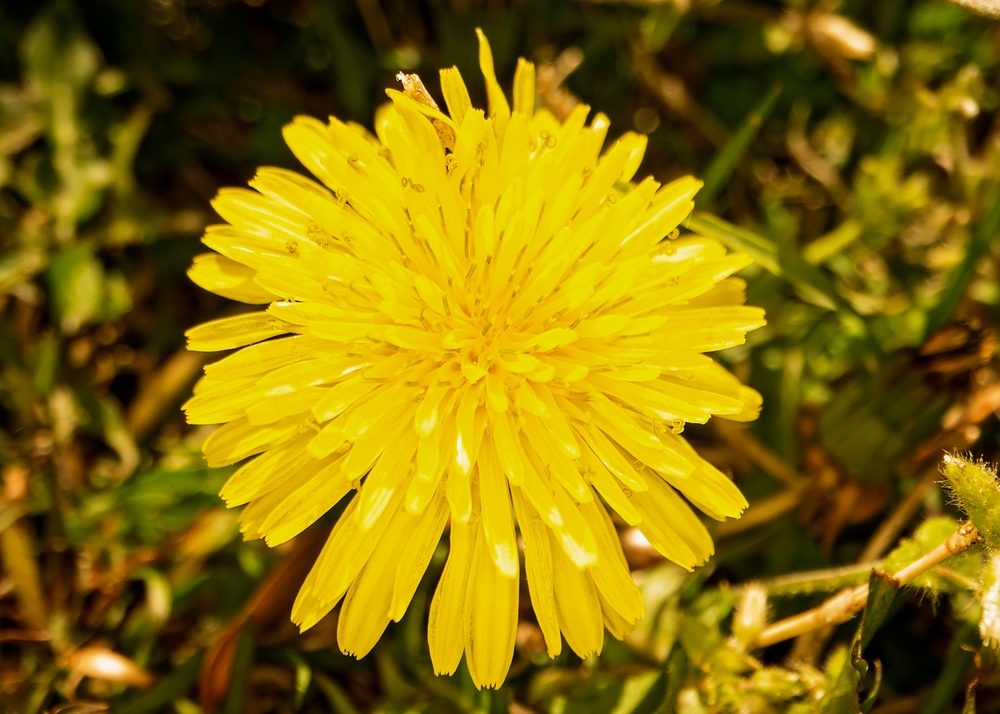 Springtime Here At Marine Corps Base Quantico