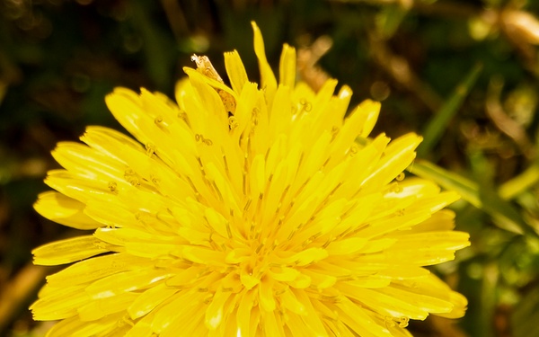 Springtime Here At Marine Corps Base Quantico