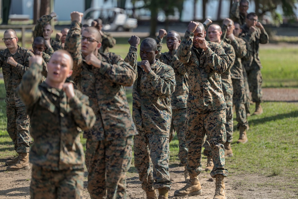 Oscar and Bravo Company MCMAP