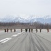 JBER Airmen conduct foreign object debris walk