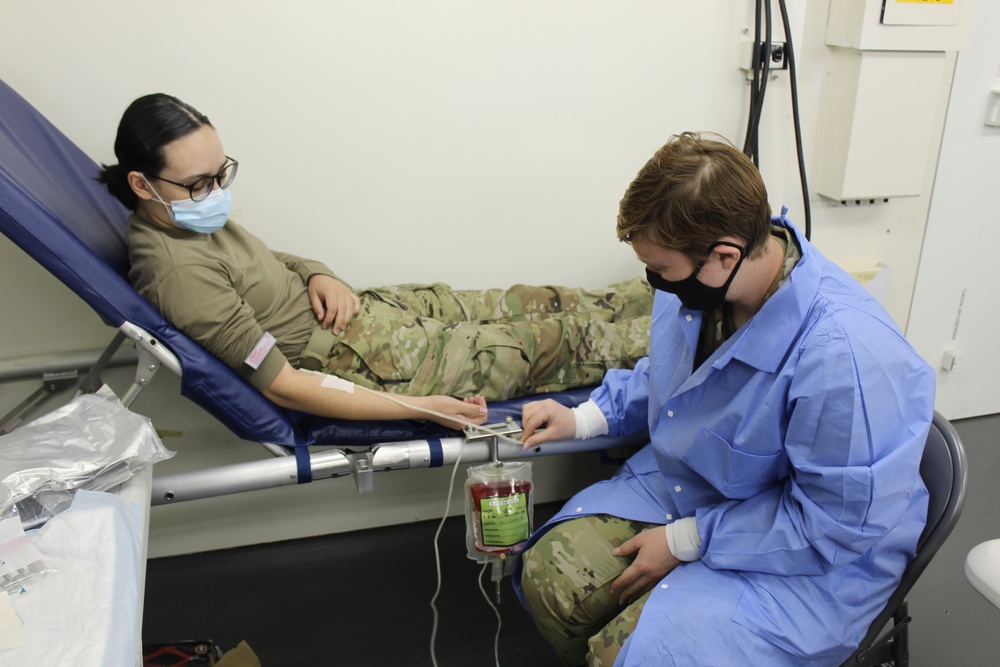 502nd Field Hospital Tests Medical Capabilities