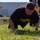 KFOR Soldiers complete ACFT certification course