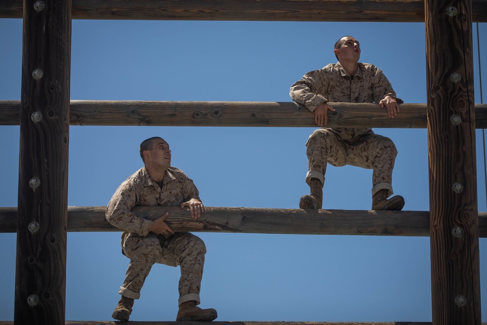 Mike Company Confidence Course
