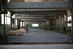 Ft. McClellan begins site improvement project