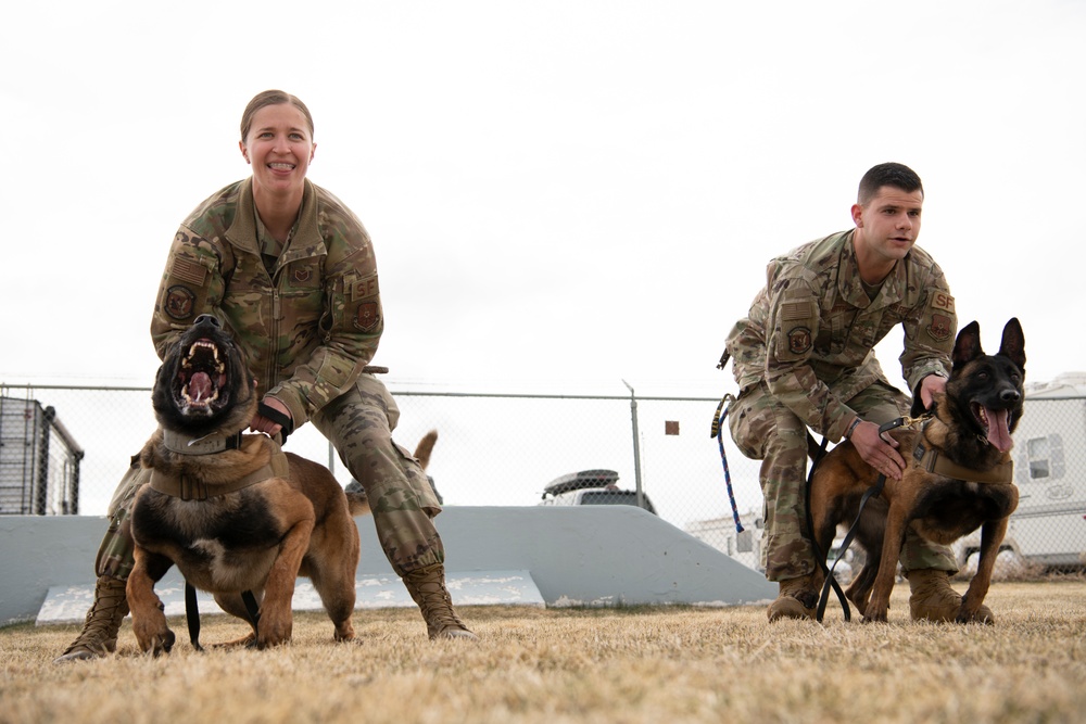 210423 MWD 90th Security Forces Group