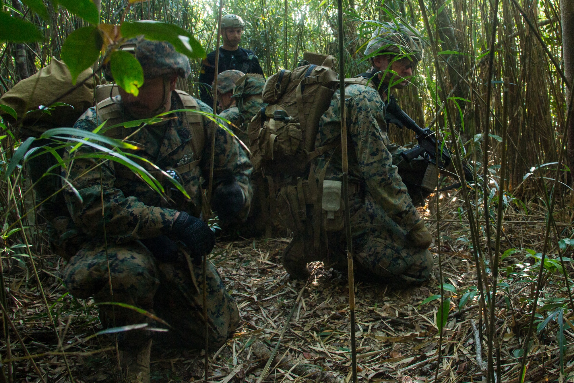 DVIDS - Images - U.S. Marines with BLT 3/4, 31st MEU train