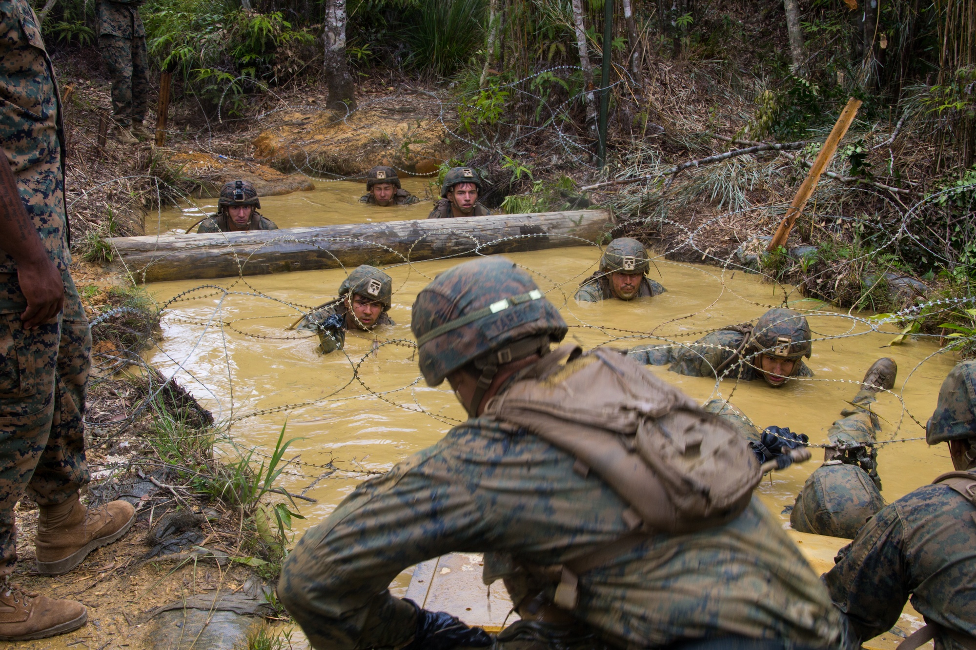 DVIDS - Images - U.S. Marines with BLT 3/4, 31st MEU train