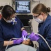 Blue Ridge Sailor Receives Dental Care