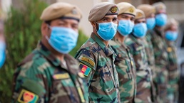 Allied through a pandemic
