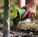 Airmen, children plant tree for Arbor Day