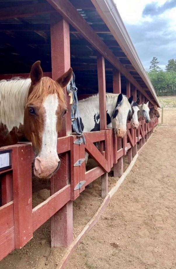 Academy’s equestrian center at full gallop during coronavirus pandemic