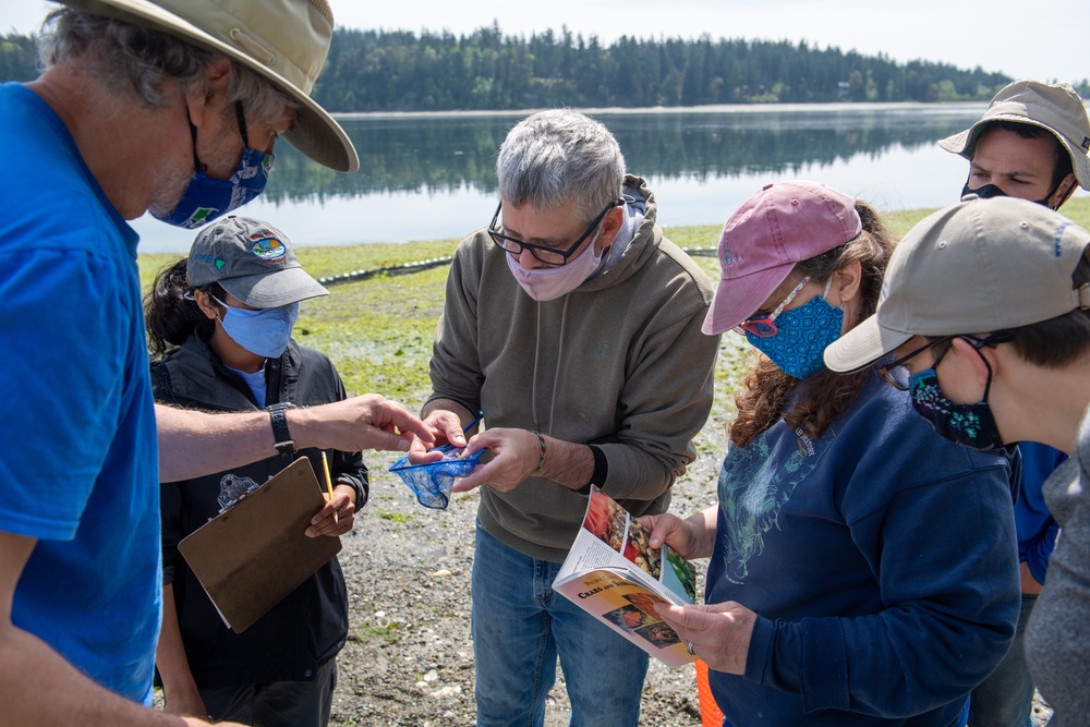 Naval Magazine Indian Island Supports Beach Seining Research at Kilisut Harbor