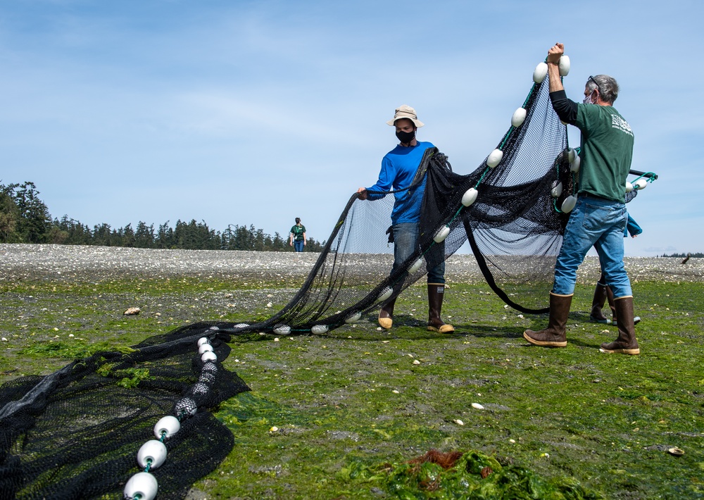 Naval Magazine Indian Island Supports Beach Seining Research at Kilisut Harbor