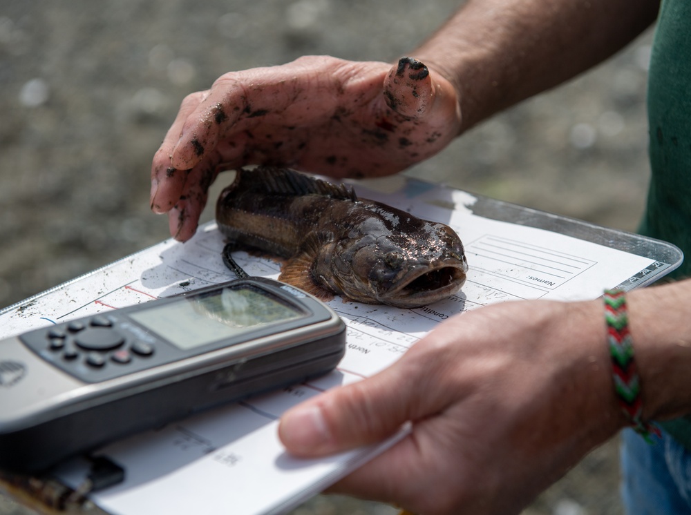 Naval Magazine Indian Island Supports Beach Seining Research at Kilisut Harbor