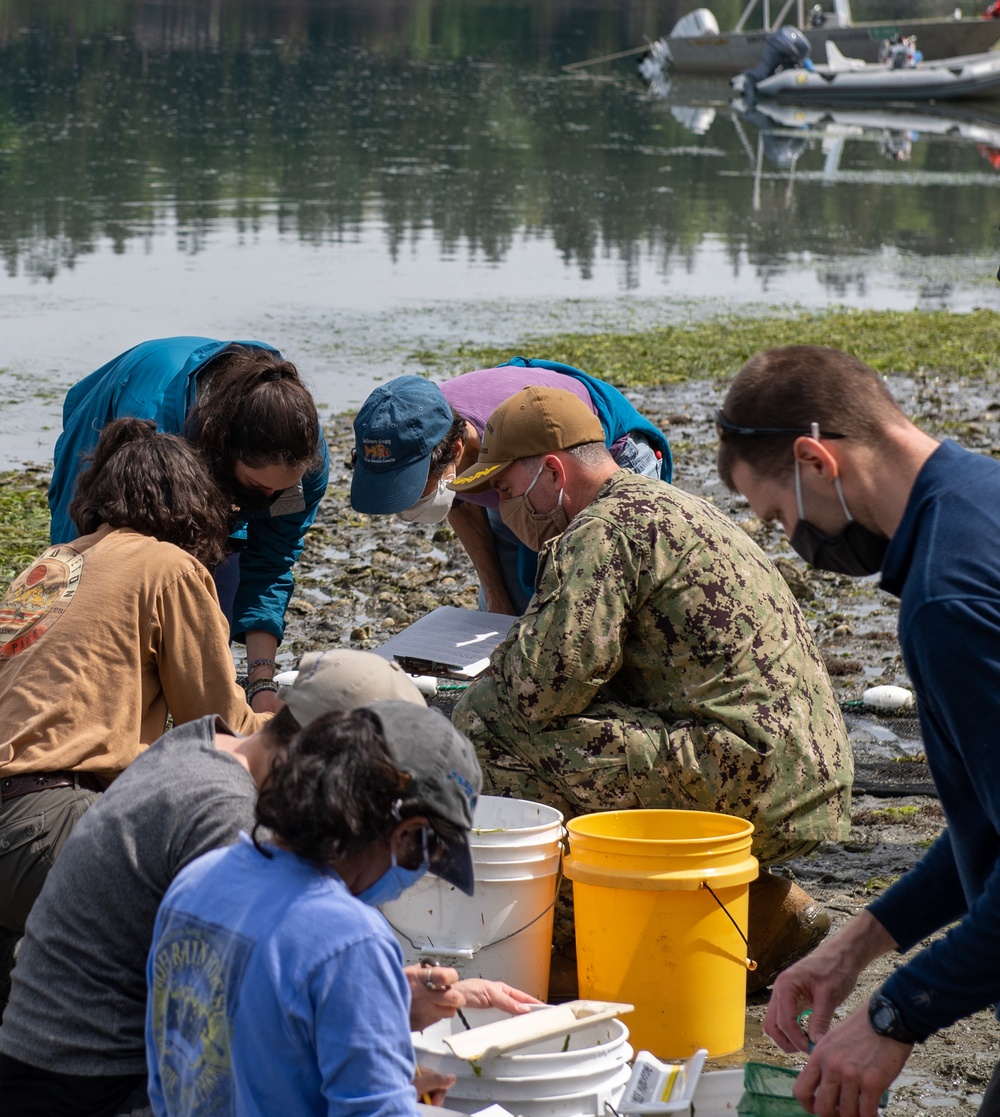 Naval Magazine Indian Island Supports Beach Seining Research at Kilisut Harbor