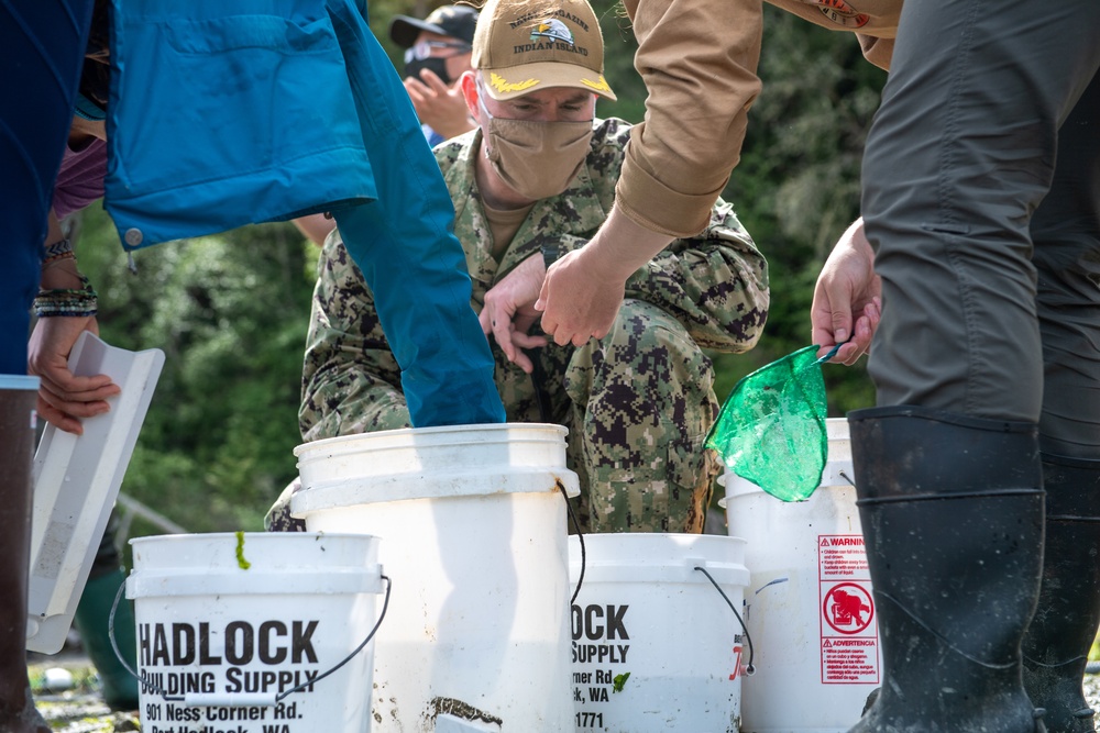 Naval Magazine Indian Island Supports Beach Seining Research at Kilisut Harbor