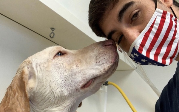 Recovering Soldiers Volunteer During Pandemic, Help Four-Legged Friends