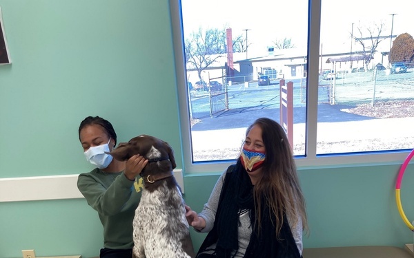 Recovering Soldiers Volunteer During Pandemic, Help Four-Legged Friends