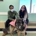 Recovering Soldiers Volunteer During Pandemic, Help Four-Legged Friends