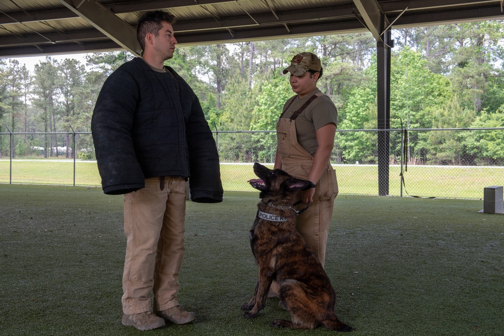 MWD Bite Training