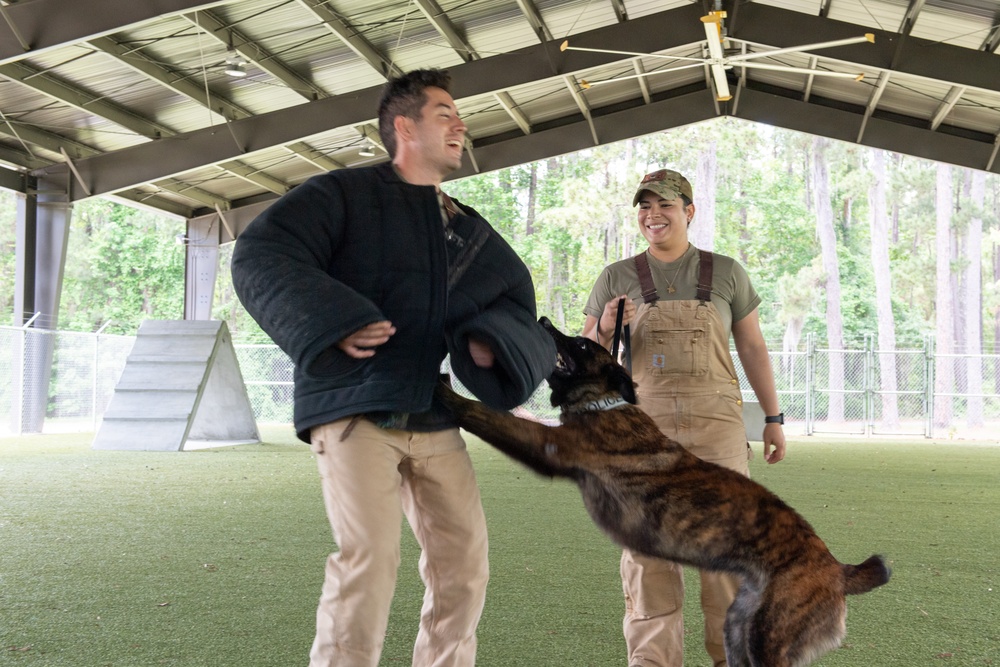 MWD Bite Training