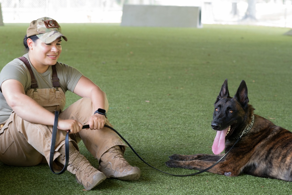 MWD Bite Training