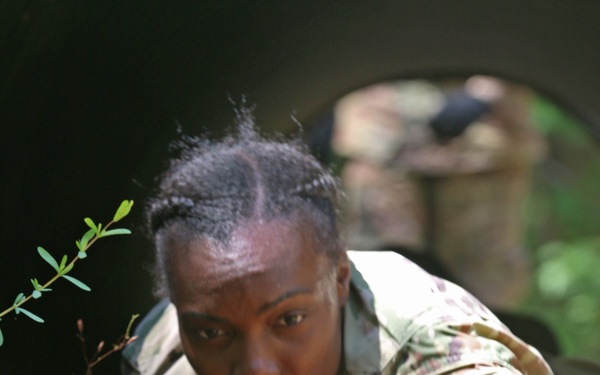 RHC-A selects best leaders