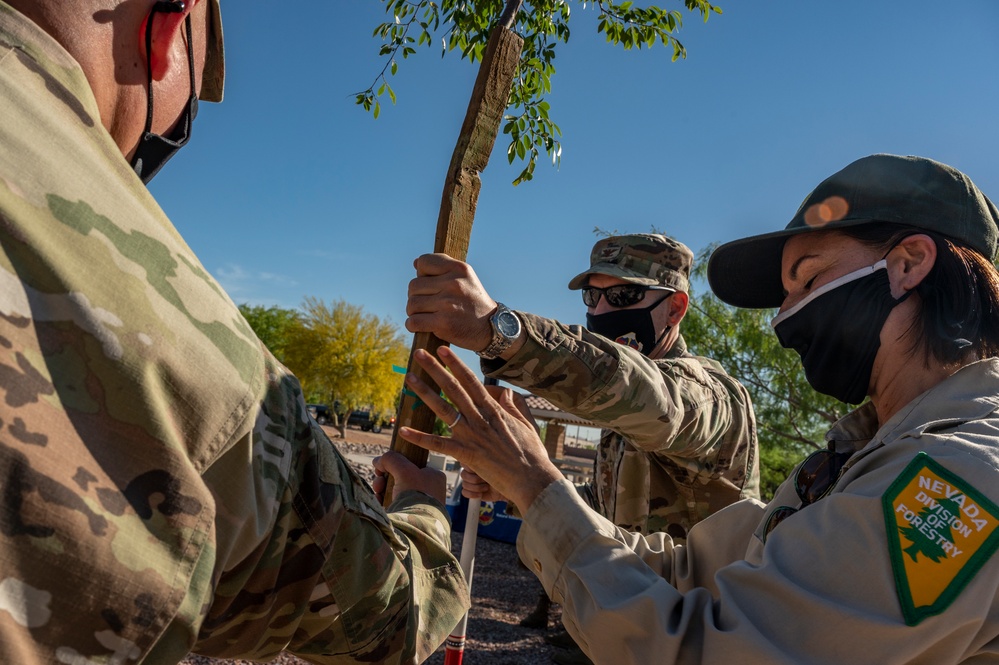 Nellis Arbor Day and Tree City USA