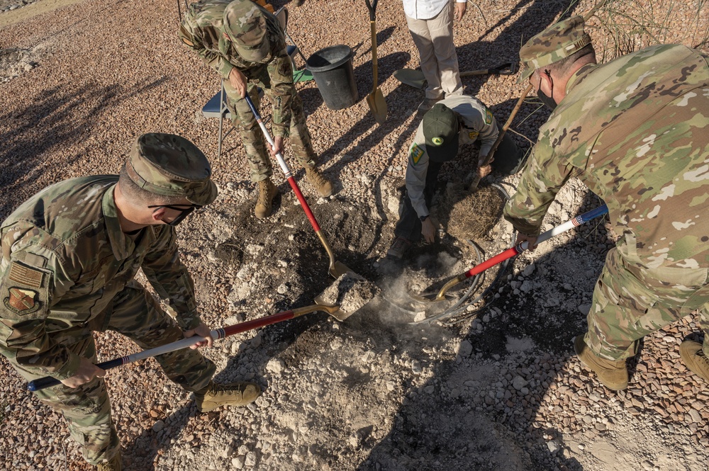 Nellis Arbor Day and Tree City USA