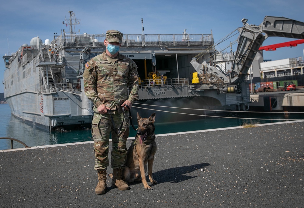 Military Police, four-legged partner keep seaport safe