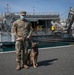 Military Police, four-legged partner keep seaport safe