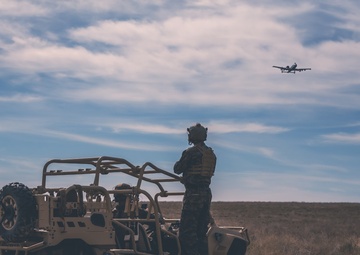 1st Air Naval Gunfire Liaison Company Nomad Mountain Home 21.3