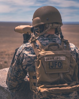 1st Air Naval Gunfire Liaison Company Nomad Mountain Home 21.3