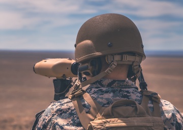 1st Air Naval Gunfire Liaison Company Nomad Mountain Home 21.3